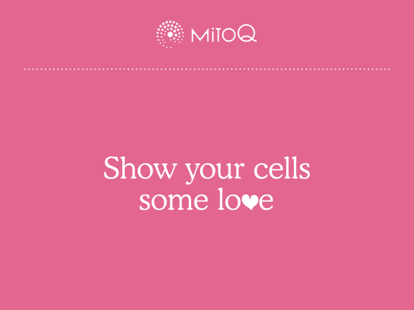 MItoQ-Valentines-Email-Header-Email-Header